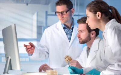 La Ciencia Detrás de la Electroestimulación: Explorando su Eficacia en el Entrenamiento Físico