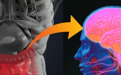 Microbiota y emociones: cómo el intestino afecta tu bienestar físico y mental